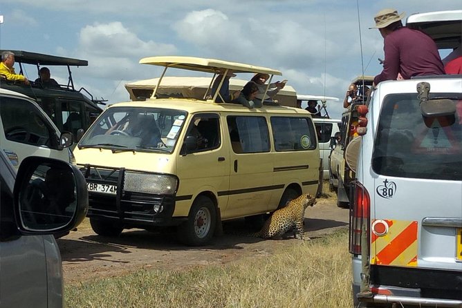 3days/2nights group joining Masai Mara with Masai Village Visit - Who this safari fits best (and who should look elsewhere)
