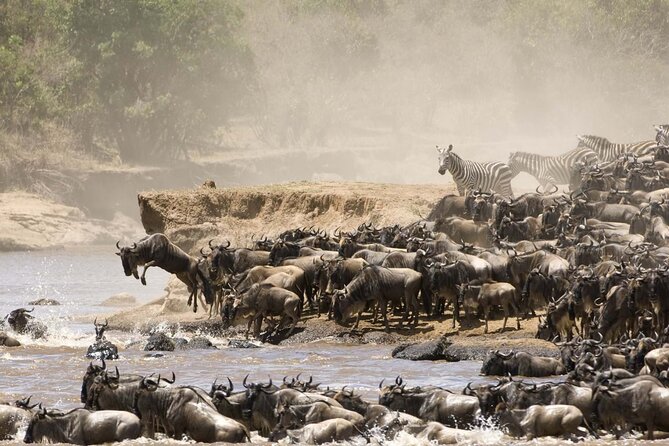 3days/2nights group joining Masai Mara with Masai Village Visit - Should you book this Masai Mara joining safari?