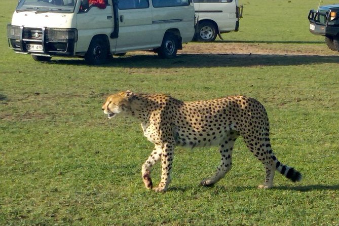 3Days 2nights Masai Mara group joining safari - Key things that make this Maasai Mara join safari work