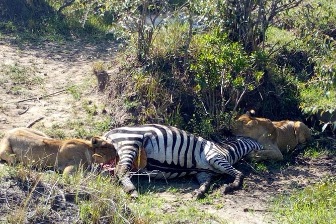 3Days 2nights Masai Mara group joining safari - The Nairobi Departure and Rift Valley Drive to Narok