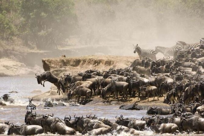 4-Day Group Safari to Maasai Mara & Lake Nakuru- 4 x 4 jeep - Nairobi to the Rift Valley: your first big taste of Kenya
