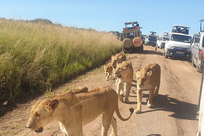 4 Day Group Tour to Maasai Mara and Lake Nakuru by a 4WD Cruiser - Day 3: Naivasha stop option, Ololaimutiek culture, and the road to Nakuru
