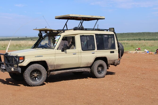 4 Day Group Tour to Maasai Mara and Lake Nakuru by a 4WD Cruiser - Small group comfort, guide spotting, and how to make the most of pop-roof viewing