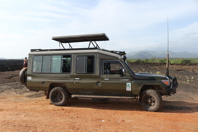 4-Day Maasai Mara and Lake Nakuru Safari from Nairobi - Day 3 in Lake Nakuru: flamingos and rhinos in one bird-first setting