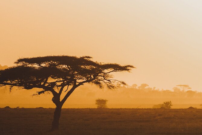 4-Day Masai Mara and Lake Nakuru Safari Tour from Nairobi - The Mara to Lake Nakuru transition, with time to shift your focus