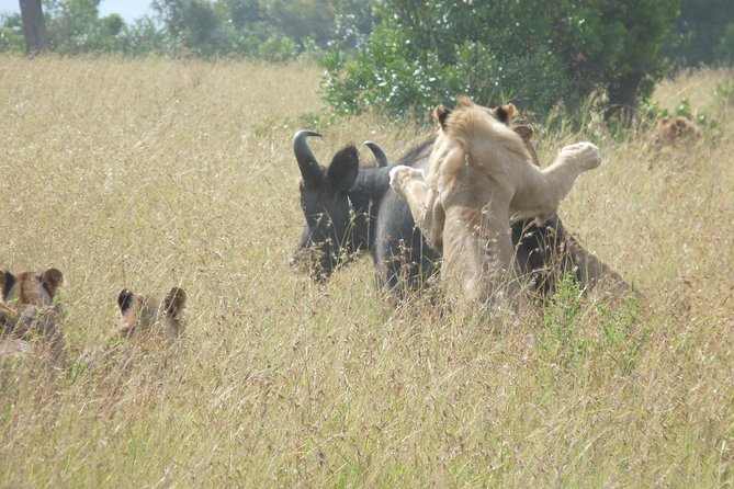 4-Day Masai Mara Big Five Safari - Price and Value: What You’re Really Paying For