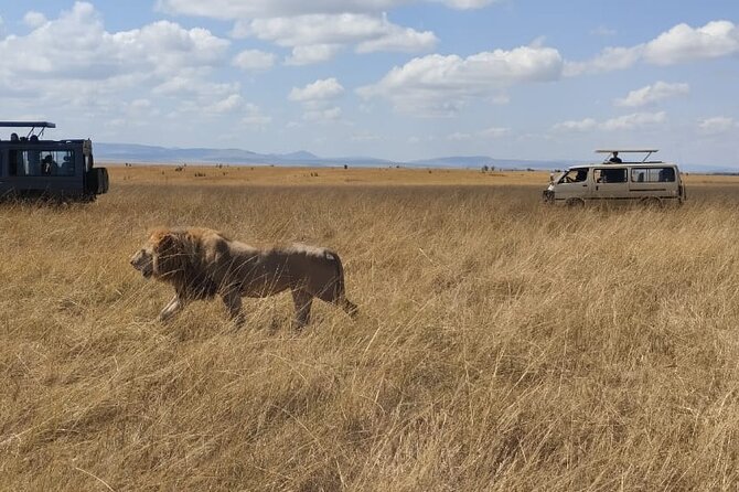 4-Day Masai Mara, L Naivasha and L Nakuru Safari - Day 3: Leaving Masai Mara for Naivasha, with optional school and island time