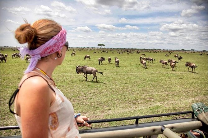 4 Day Masai Mara & Lake Nakuru Group Joining Camping Safari - Daily Departures - What to expect to see: Big cats, hippos, crocs, flamingos, and rhinos