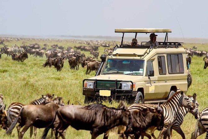 4 Day Masai Mara & Lake Nakuru Group Joining Camping Safari - Daily Departures - Day 2 Maasai Mara: Mara River concentration and picnic lunch by water