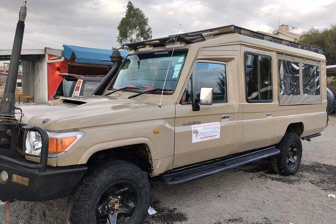 4-Day Masai Mara - Luxury Private safari (JEEP) - Day 1 game drive: your first chances to spot patterns fast