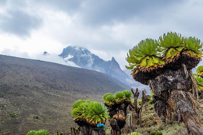 4 Day Mount Kenya Trek Up Chogoria Down Sirimon - The guide team factor: why organization shows up on the mountain
