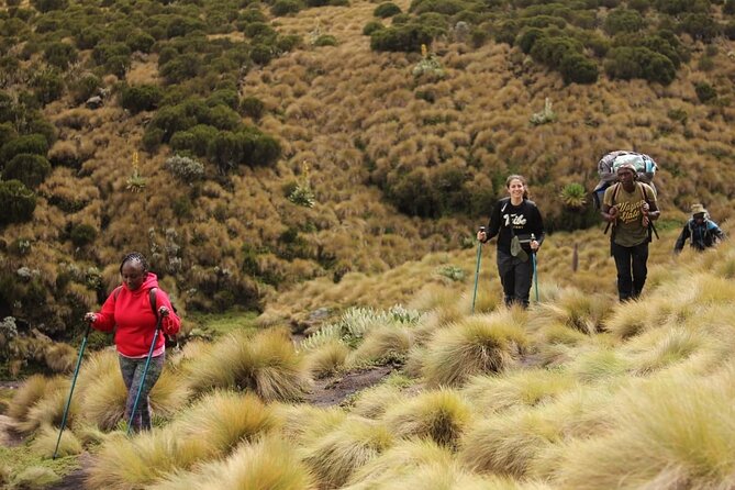 4-Day Mount Kenya Trekking with Pick Up - Nairobi Pickup And The Sirimon Start That Sets Your Tempo