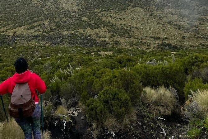 4-Day Mount Kenya Trekking with Pick Up - Price and What You’re Actually Getting for $941.18