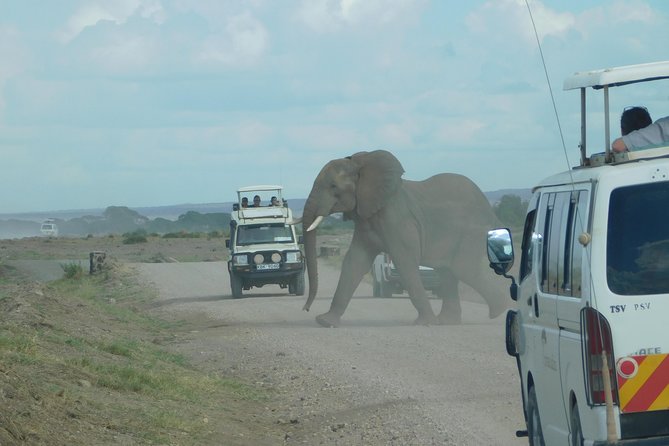 4 Day Private Masai Mara National Reserve & Lake Nakuru National Park Safari - The Real Value: What Your Money Buys in Kenya Safari Days