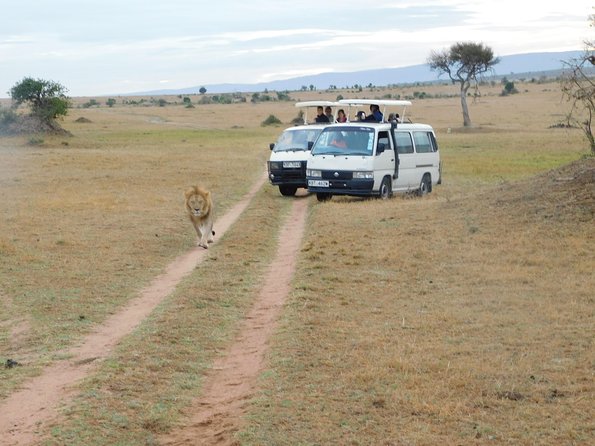 4 Day Private Masai Mara National Reserve & Lake Nakuru National Park Safari - Day 1, Nairobi to Lake Nakuru: Great Rift Valley Views and First Game Drive Chances