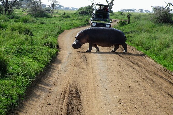 4-Day Tour in Lake Nakuru, Lake Naivash, Masai Mara from Nairobi - The 4-Day Route That Connects Three Very Different Safaris