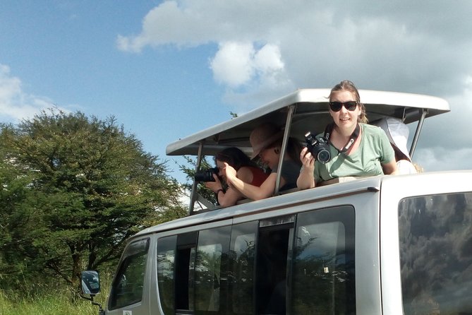4-Day Tsavo East West and Amboseli National Park from Mombasa - Mzima Springs and Amboseli Day 3: Hippos, Clear Water, and Kilimanjaro Views