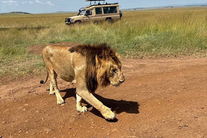 4 Days 4WD Private Maasai Mara, Nakuru Parks with Lodge LUXURY - Maasai Mara game drives: early mornings, long hours, and real river potential