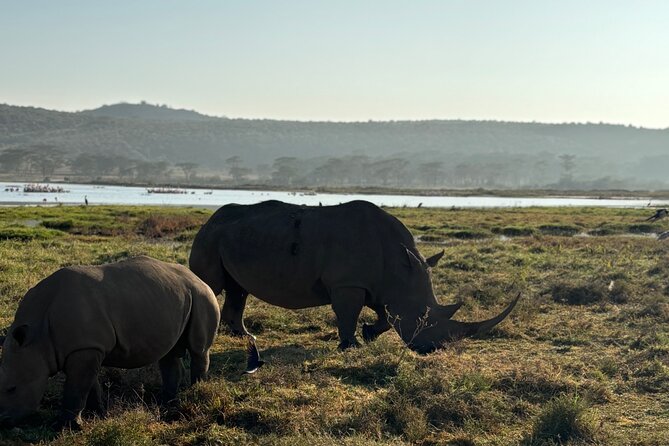 4 Days 4WD Private Maasai Mara, Nakuru Parks with Lodge LUXURY - Maasai village tour near Nakuru: culture with a clear role in the day