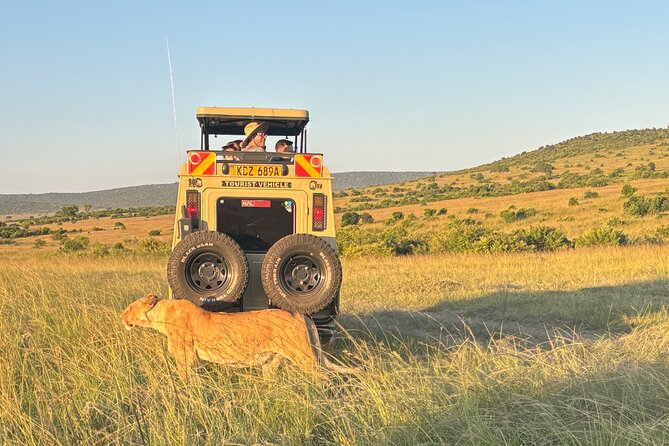 4 Days 4WD Private Maasai Mara, Nakuru Parks with Lodge LUXURY - Lake Nakuru wildlife focus: a calmer pace, still a full day