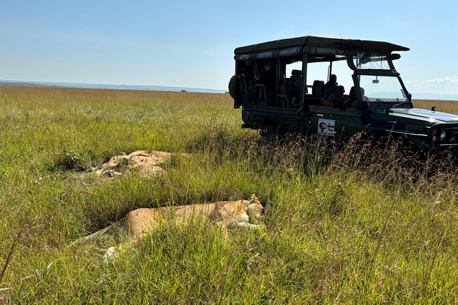 4 Days 4WD Private Maasai Mara, Nakuru Parks with Lodge LUXURY - Price and value: what the $1,499 really covers