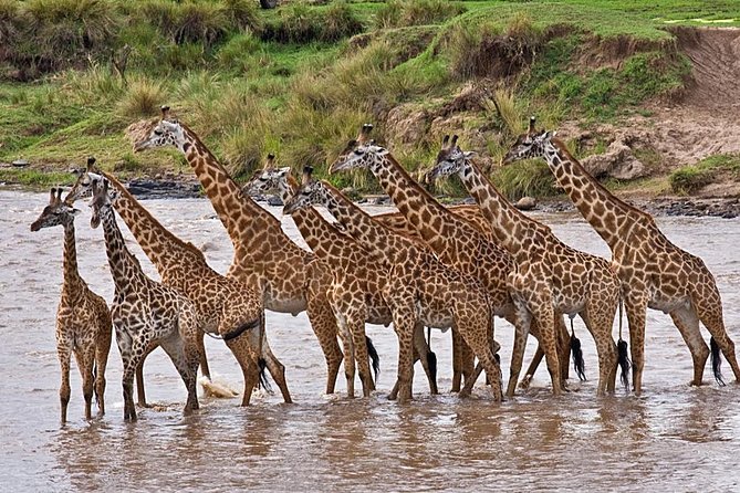 4-Days Best Wildlife Safari: Amboseli, Tsavo West & Tsavo East Private Safari - Amboseli National Park: Kilimanjaro Views And Elephant Chances