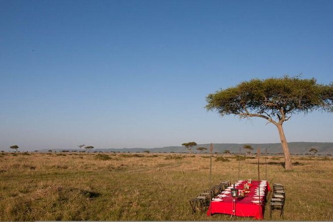 4 Days Enthralling Safaris in Kenya-lake Nakuru Masai Mara - Nairobi pickup and the 8:00 am start you should plan for