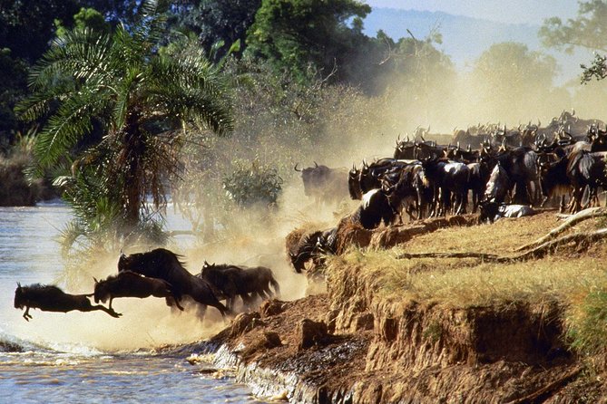4 days group joining budget safari to Maasai Mara only - Price and value math for $397, plus the park fees that change by season