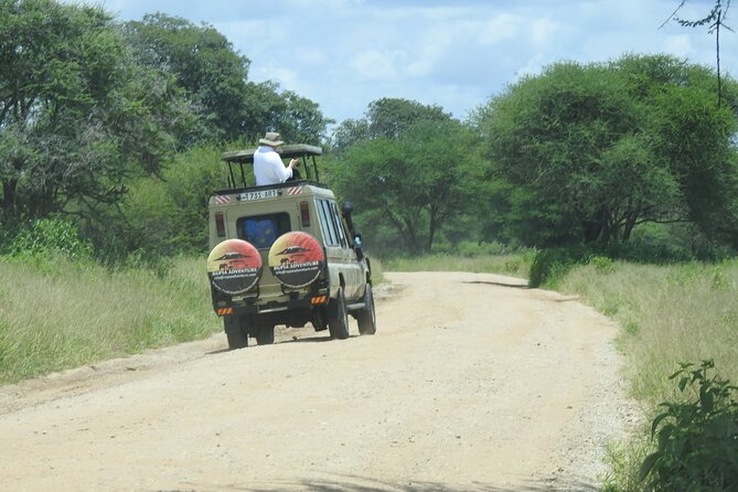 4 Days Kenya Safari - Why this 4-day Kenya safari route hits better than rushing