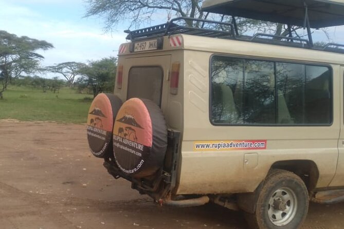 4 Days Kenya Safari - Day 4 in Lake Nakuru: bird life, black and white rhinos, and back to Nairobi