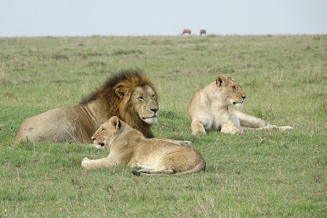 4 Days Landcruiser Safari to Masai Mara and Lake Nakuru - Sundowners and what to watch for on the first evening
