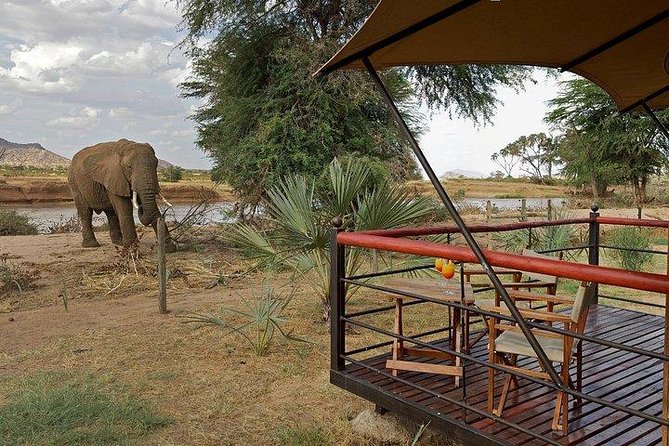 4 days Maasai Mara-Nakuru Mid-Range - Masai Mara: why this area keeps people coming back