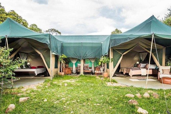4 days Maasai Mara-Nakuru Mid-Range - Day 3 in the Mara: full-day drive with packed lunch and cheetah-style surprises
