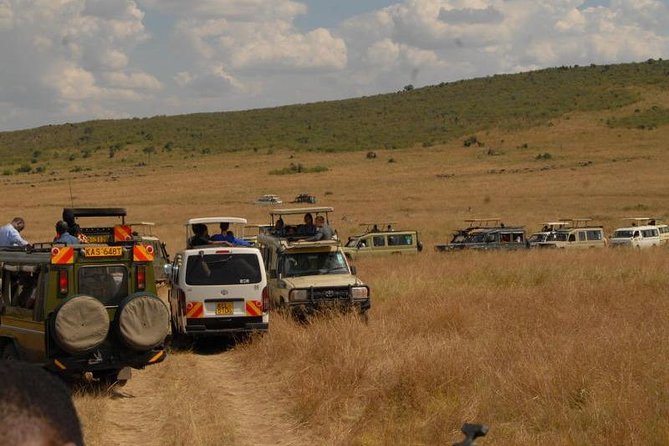 4 Days Masai Mara and Lake Nakuru Budget Safari Meals included - Lake Nakuru Day 4: Bird Watchers’ Paradise, Rhino Sanctuary Time, and More Game Drive