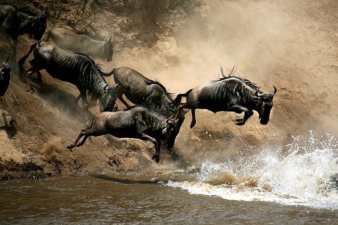 4 Days Masai Mara and Lake Nakuru Budget Safari Meals included - Day 1 in Masai Mara: Rift Valley Viewpoints, Narok Curios, and a First Drive