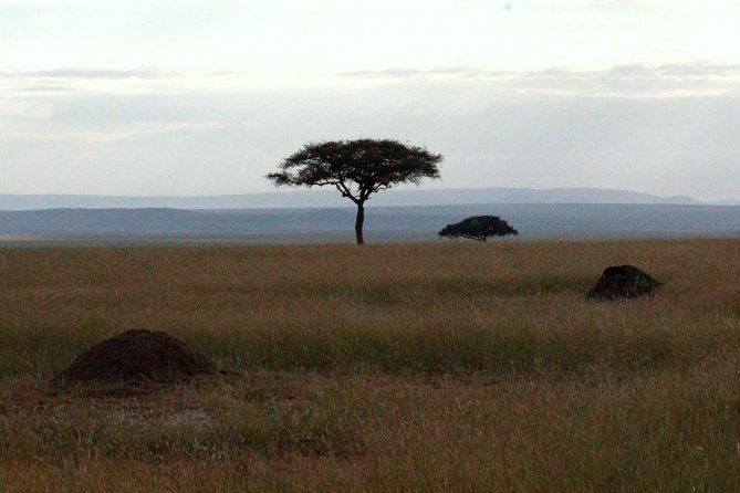 4 Days Masai Mara Camping Safari - Camping at a Private Campsite: Gear Rental and the Meal Rhythm That Keeps You Going