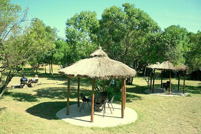 4 Days Masai Mara Camping Safari - Big Five Odds and What the Schedule Actually Tries to Do