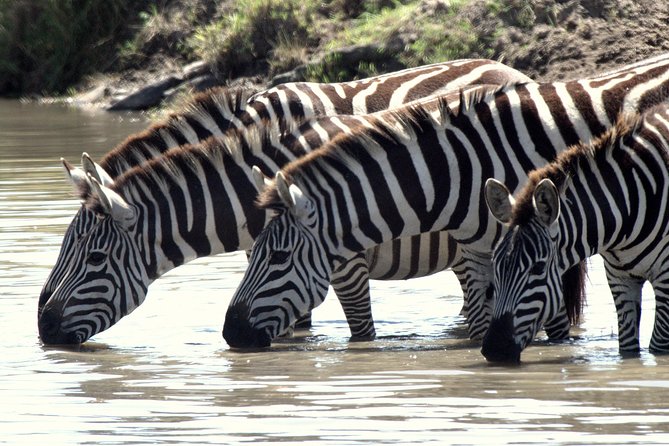 4 Days Masai Mara Camping Safari - Price and Value: What the $1,150 Per Person Covers (and What It Doesn’t)