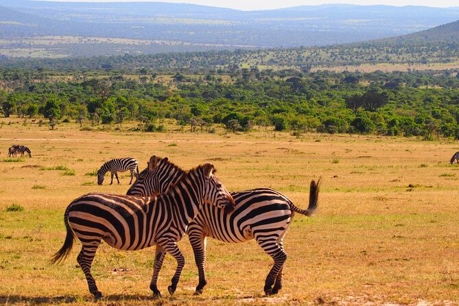 4 Days Masai Mara & Lake Nakuru Budget Group Safari in a 4x4 Jeep - Nairobi to the Rift Valley, and why the 4x4 start sets the tone
