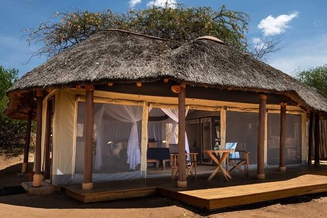 4 Days Masai Mara/Lake Nakuru Budget Safari - Lake Nakuru Morning Game Drive: Flamingos First, Then Rhinos
