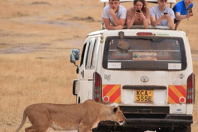 4 Days Masai Mara Lake Nakuru Jeep Safari - Small-Group Jeep Safari: Why Capped at 8 Helps