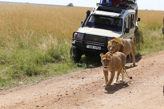 4 Days Masai Mara Lake Nakuru Jeep Safari - Day 4: Nairobi Arboretum Morning Wildlife and Your Return to the City