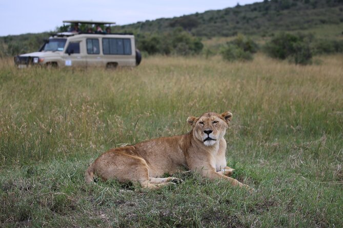 4 Days Masai Mara Lake Nakuru Jeep Safari - Day 1: Mara River, Rift Valley Viewpoints, and Afternoon Lion Chances