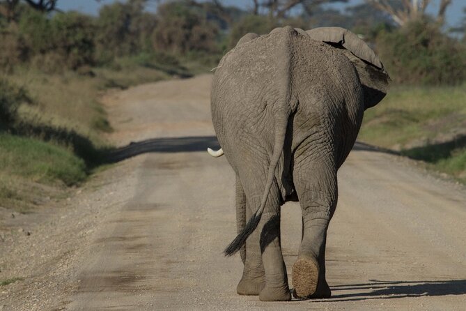 4 Days Masai Mara Nakuru - Lake Nakuru National Park: Rift Valley Soda-Lake Scenery and a Different Safari Mood
