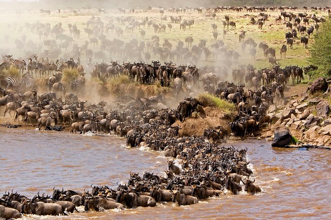 4 days masai mara Nakuru Joining safari - Day 3 transfer to Lake Nakuru: leave Mara in the morning, arrive for dinner