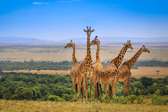 4 days masai mara Nakuru Joining safari - Day 1 night at ENCHORO: tented-camp energy without going rough