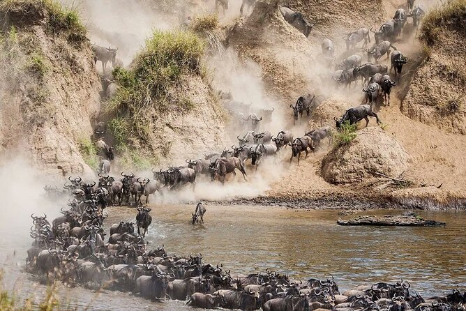 4 Days Mid Luxury Safari, Lake Nakuru and Masai Mara. - Price and value: what $2,200 is really covering