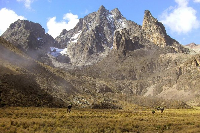 4 Days Mount Kenya Trekking - Key things to know before you trek Mount Kenya