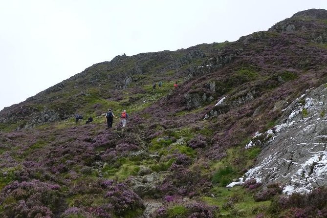 4 Days Mount Kenya - Key highlights you will feel (not just read about)