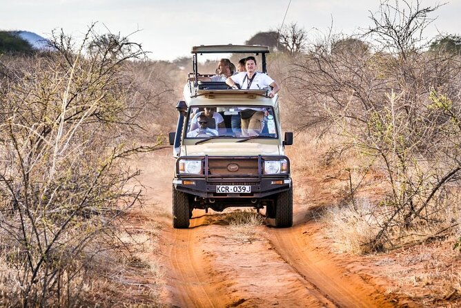 4 Days Private Safari Tour Tsavo and Amboseli from Nairobi - Key highlights worth penciling in